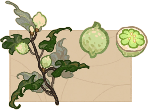 Fino