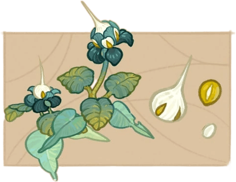Flocculus