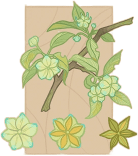 Hexaflower