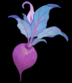 Item_Radish
