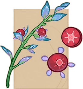 Qirriberry