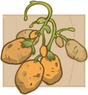Vine Spud